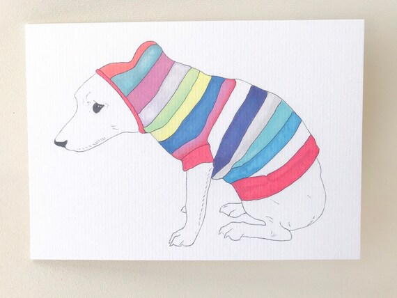 jack russell jumper