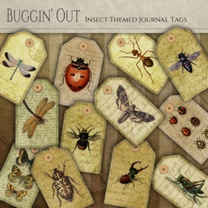 May include: A set of 10 vintage-style journal tags featuring various insects, including a ladybug, dragonfly, moth, beetle, and grasshopper. The tags are printed on aged paper with handwritten text and have a distressed look.