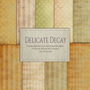 Delicate Decay  - Distressed Grunge Digital Paper and Scrapbook Ephemera