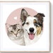 see more listings in the Pet Portraits section