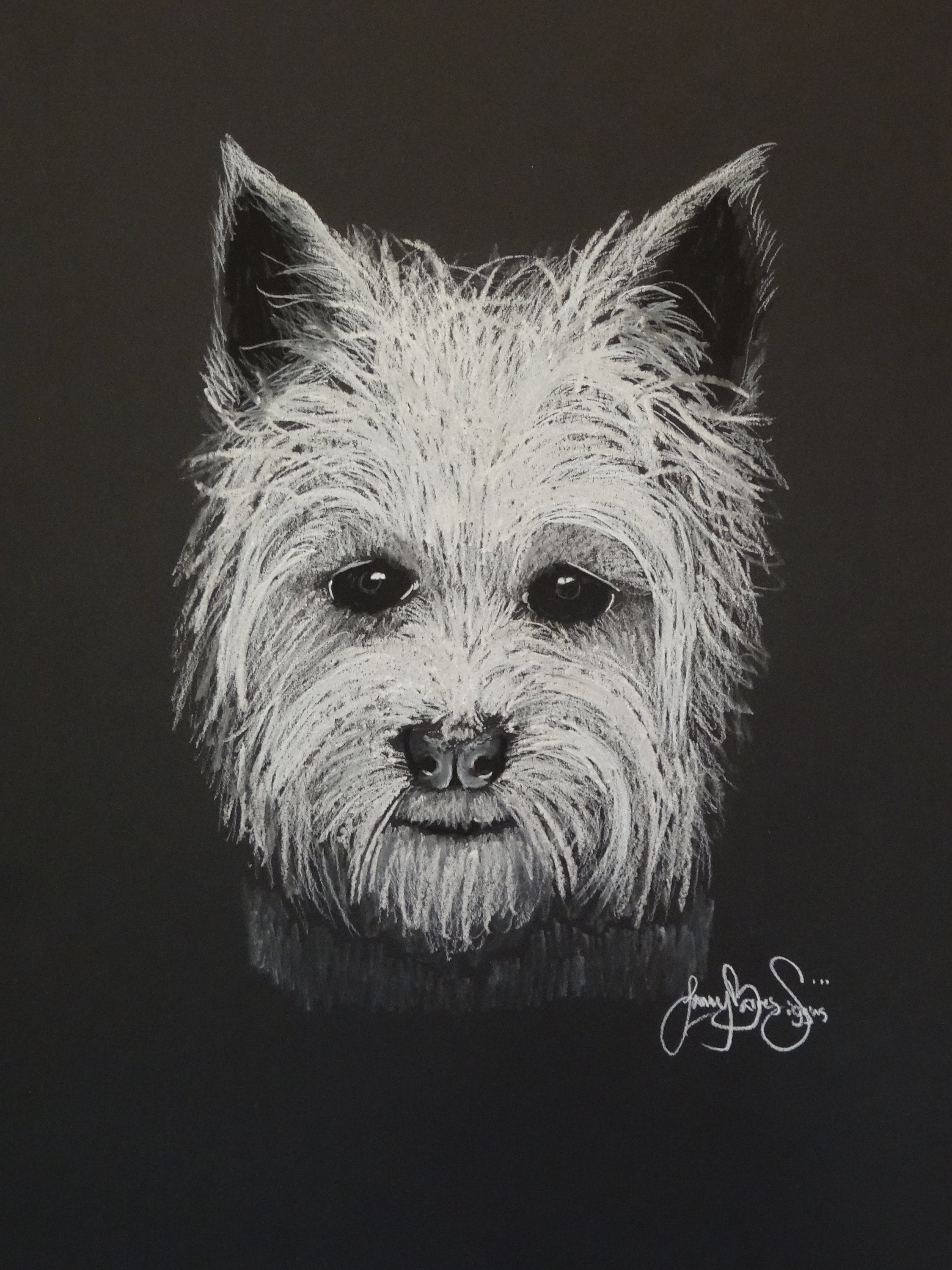 God Loves a Terrier Etsy