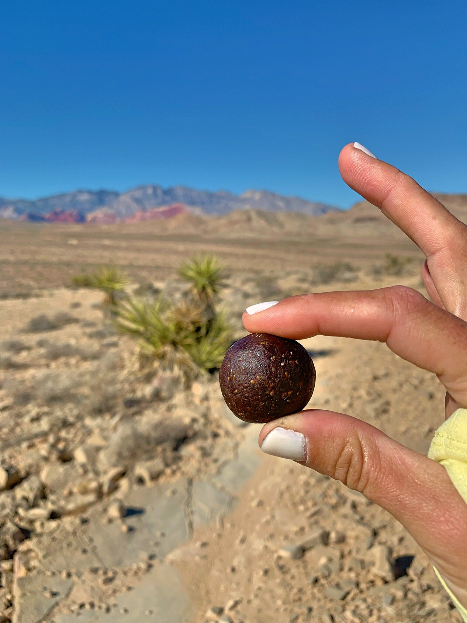 Kick In The Balls *Coffee Chocolate Energy Protein Trail Balls*