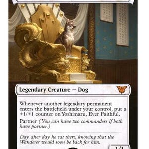May include: A white card with black text and a gold and white illustration of a dog sitting on a throne. The card is for the Magic: The Gathering trading card game. The text on the card reads "Yoshimaru, Ever Faithful" and "Legendary Creature - Dog".