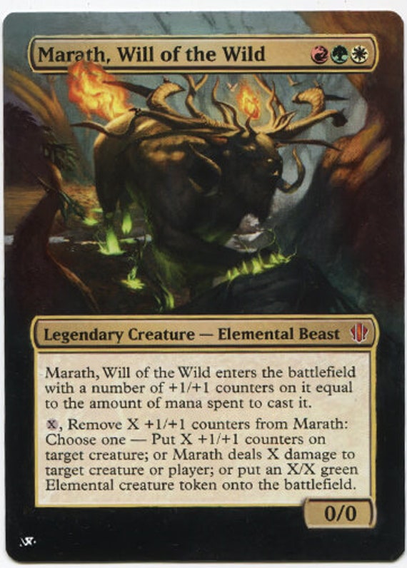 wild card mtg Magic The Gathering Throne of Eldraine Brawl Deck Bounty : Toys & Games The Gathering Wild Pair  Conspiracy: Take