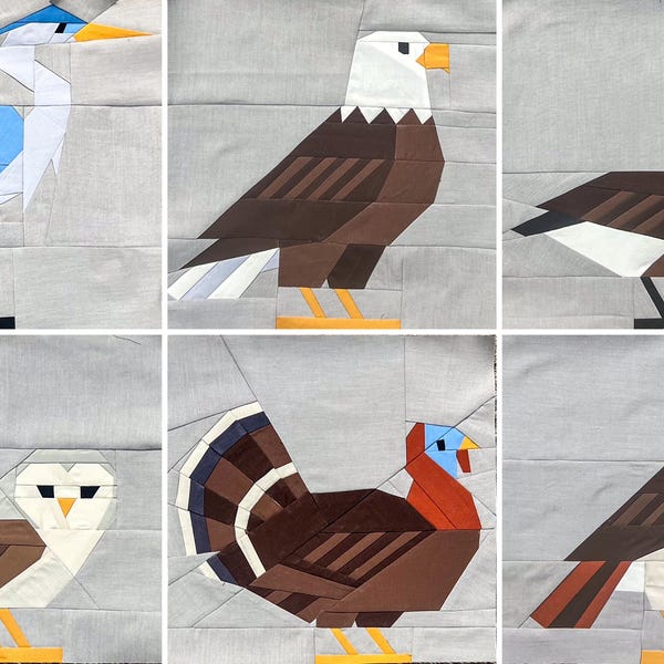Big Backyard Birds Quilt Pattern | FPP Foundation Paper Piecing | Modern Bird Quilt Blocks | Set of six | PDF Pattern 12" 20"