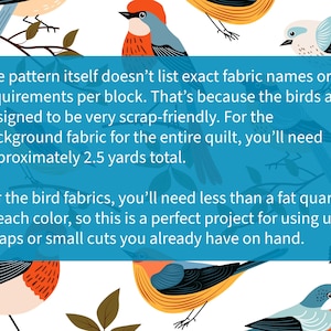 Backyard Birds Bundle FPP paper pieced quilt block patterns image 6