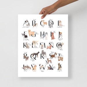 Alphabet Dog Breeds Poster Print