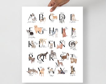 May include: A colorful alphabet poster featuring watercolor illustrations of different dog breeds. Each letter is paired with a dog breed name, such as "A" for "Australian Shepherd" and "B" for "Beagle".