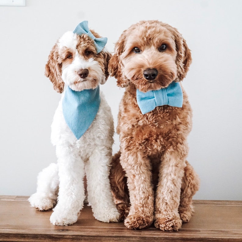 Denim Hair Bow