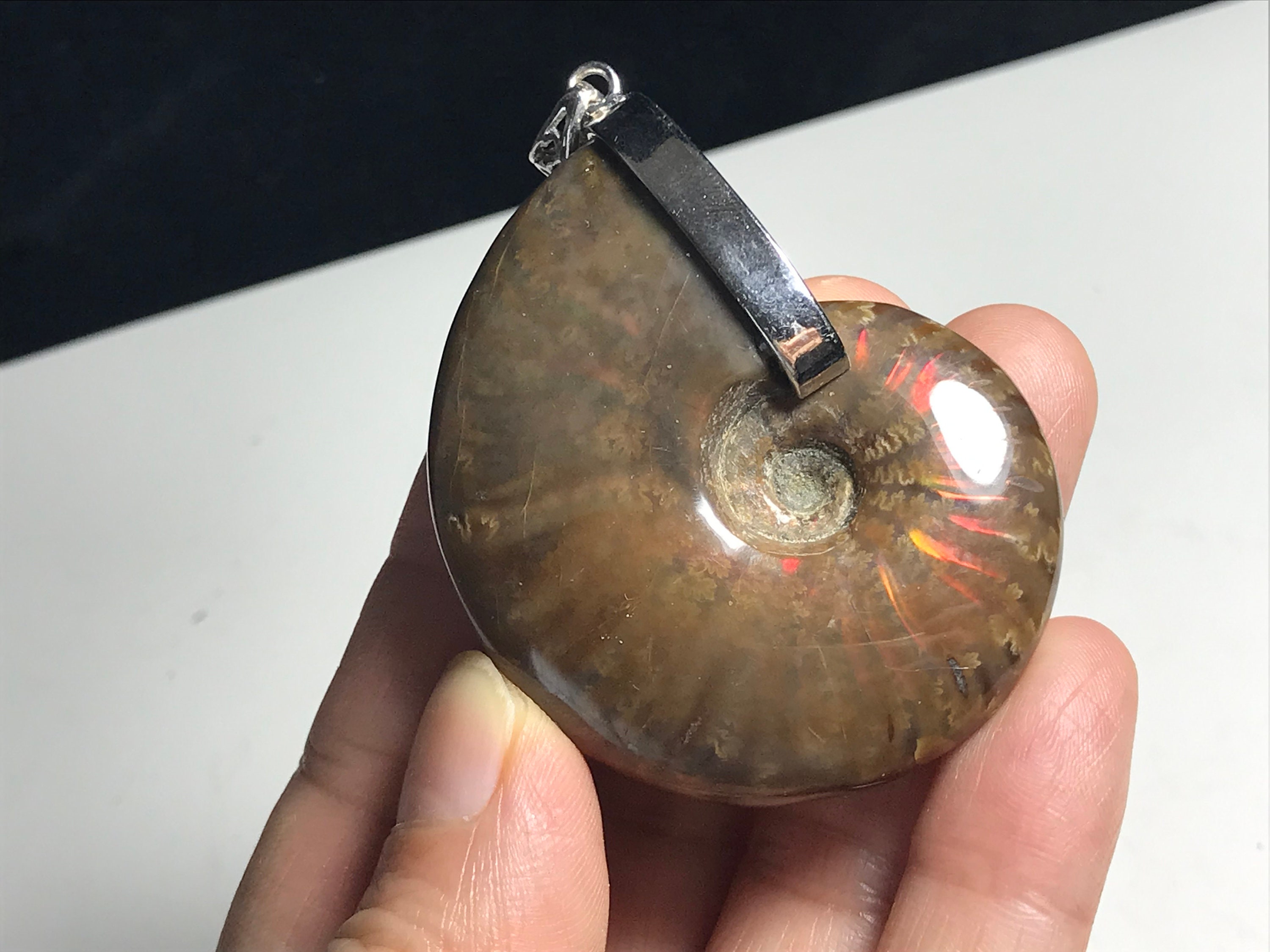 Ammolite Fossile Madagascar 40-50mm - Pietra Iridescente Da Collezione - Foto 13