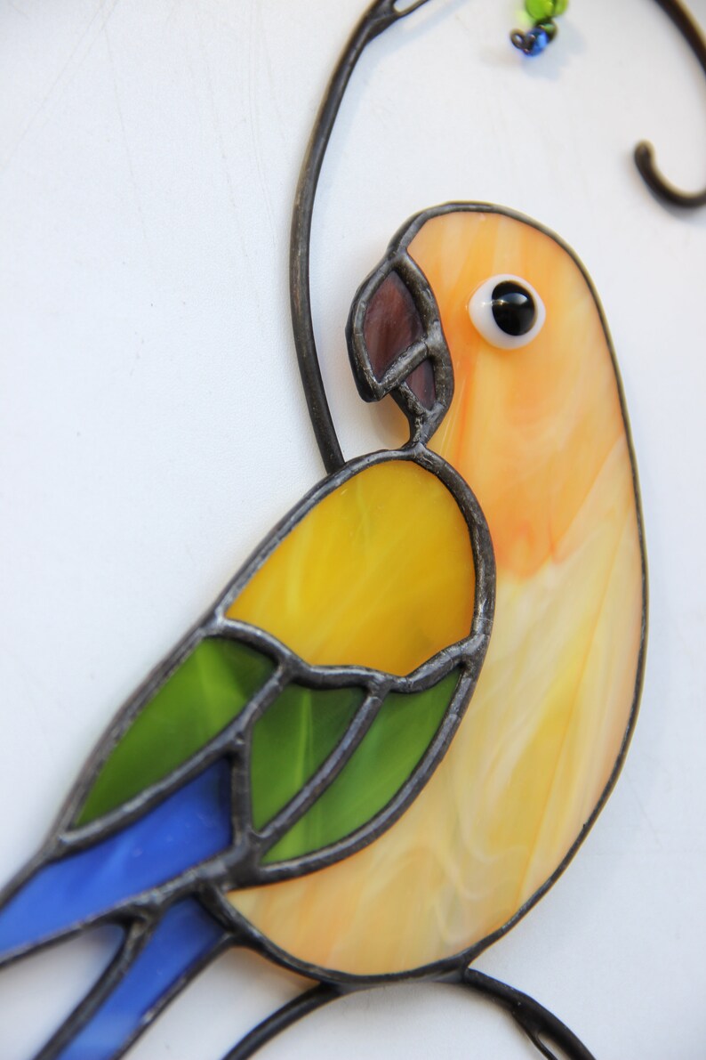 Stained Glass Parrot at Christopher Stevenson blog