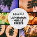 see more listings in the Lightroom Mobile Presets section