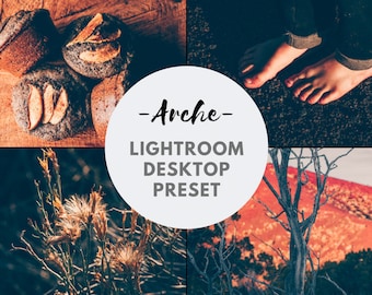 Lightroom Desktop Preset ARCHE - magical, moody, mystical, earthy, vintage, rustic | VSCO filter Film Nature Landscape Portrait Wedding Food