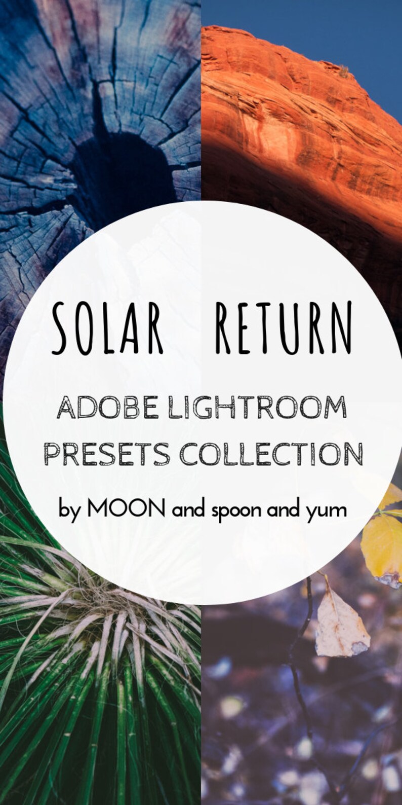 Solar Return Lightroom Presets Collection for Desktop Set of 4 dark, matte, moody, film, vintage, VSCO filters for food, nature image 6