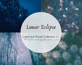 Adobe Lightroom Lunar Eclipse Presets Collection for Desktop (Set of 4) - moody, matte, film, vintage, VSCO filters for food, nature, travel