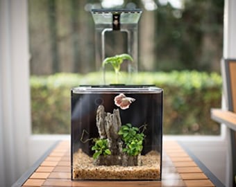 fish tank decor etsy