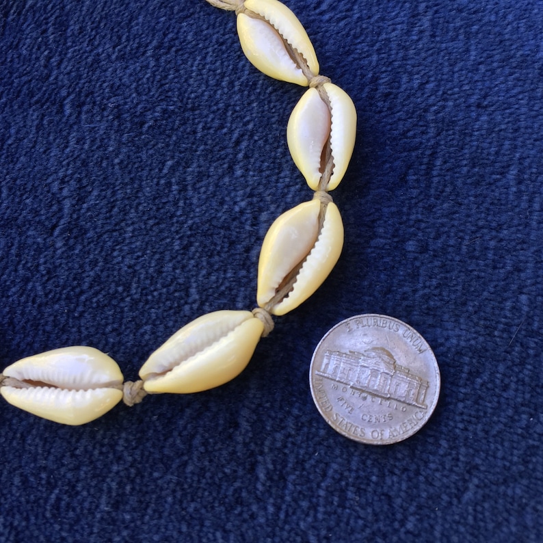 with Waxed Cord /& Natural Yellow Cowrie Shells Hawaiian Shell PURPLE Cord Surfer Style Beach Tropical Pretty Fashion Accessories BRACELET
