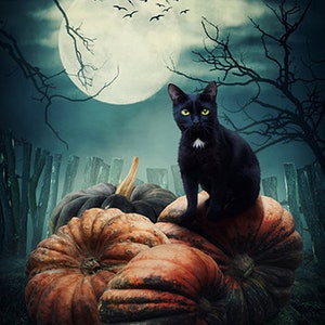 May include: A black cat with bright green eyes and a small white patch on its chest sits atop a cluster of large, textured orange pumpkins. The scene is set against a dark, moody backdrop featuring a full moon, bare tree branches, and a fence.