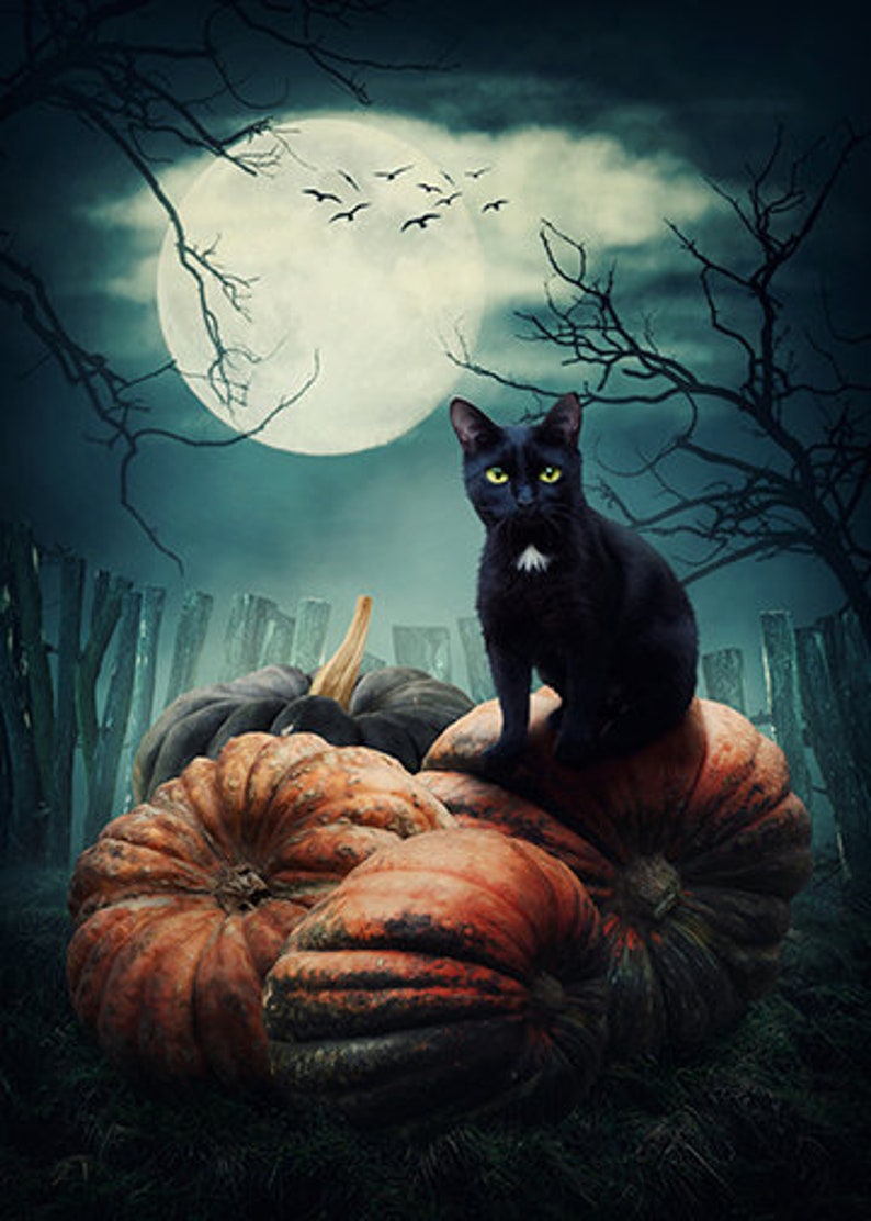May include: A black cat with bright green eyes and a small white patch on its chest sits atop a cluster of large, textured orange pumpkins. The scene is set against a dark, moody backdrop featuring a full moon, bare tree branches, and a fence.