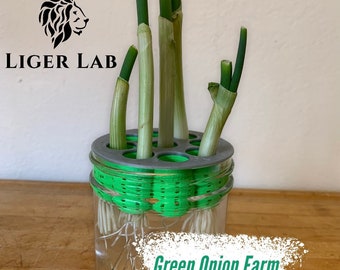 Green Onion Farm