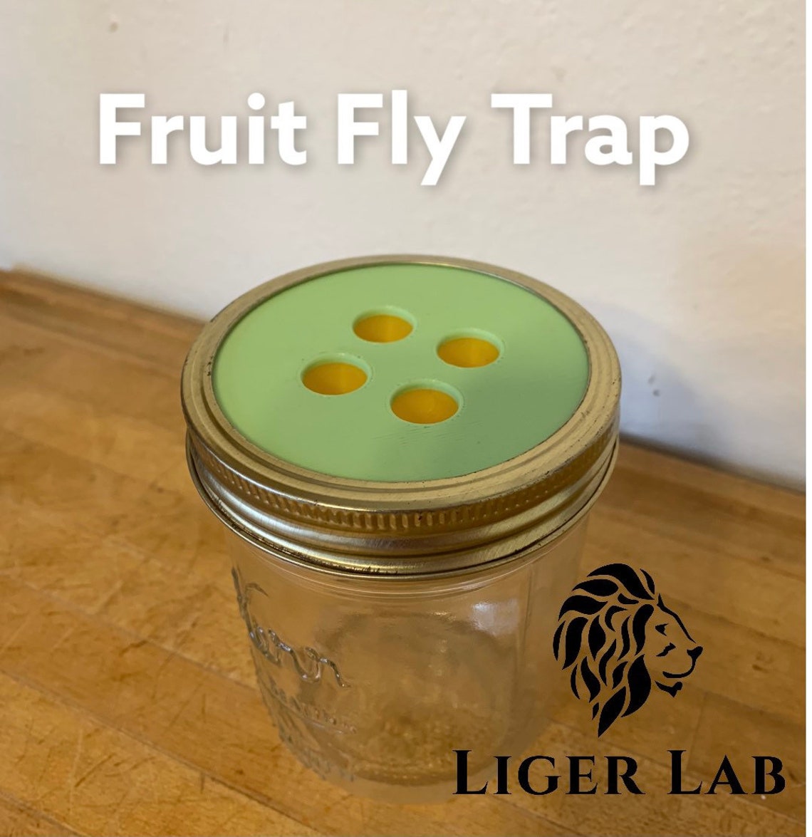 Fruit Fly Traps 4 Cone Etsy