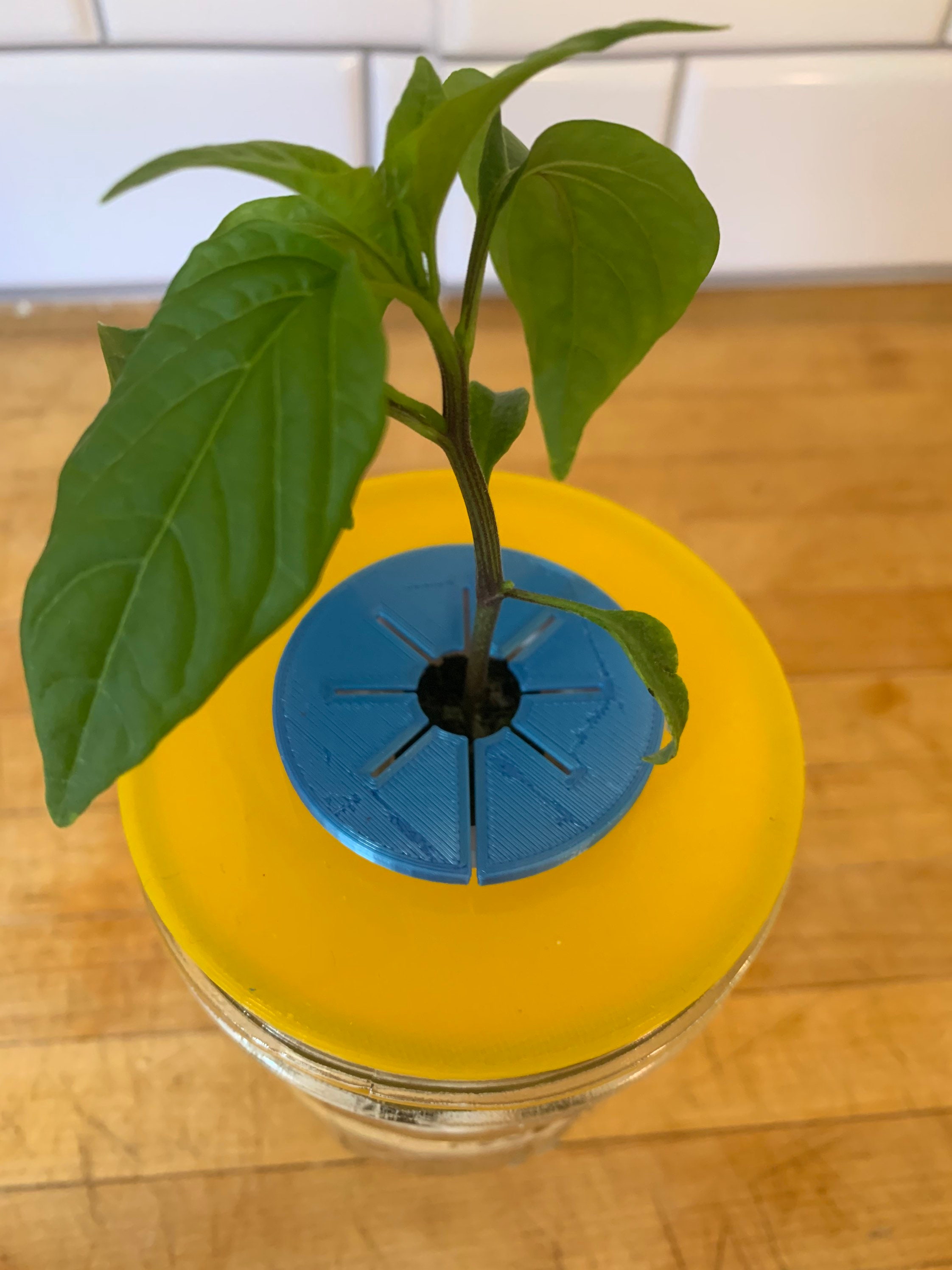 Craft Supplies & Tools Flexible Aerogarden Seed Tray Lid Covers Floral