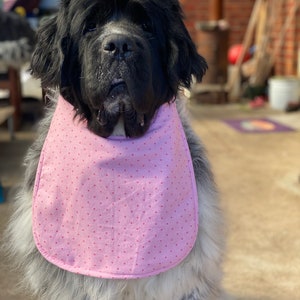 Pink polka dog drool bib slobber dog bib Giant big Dog drool Bib Reversible Newfoundland newfie Newfy bernese mountain dog Saint Bernard image 2