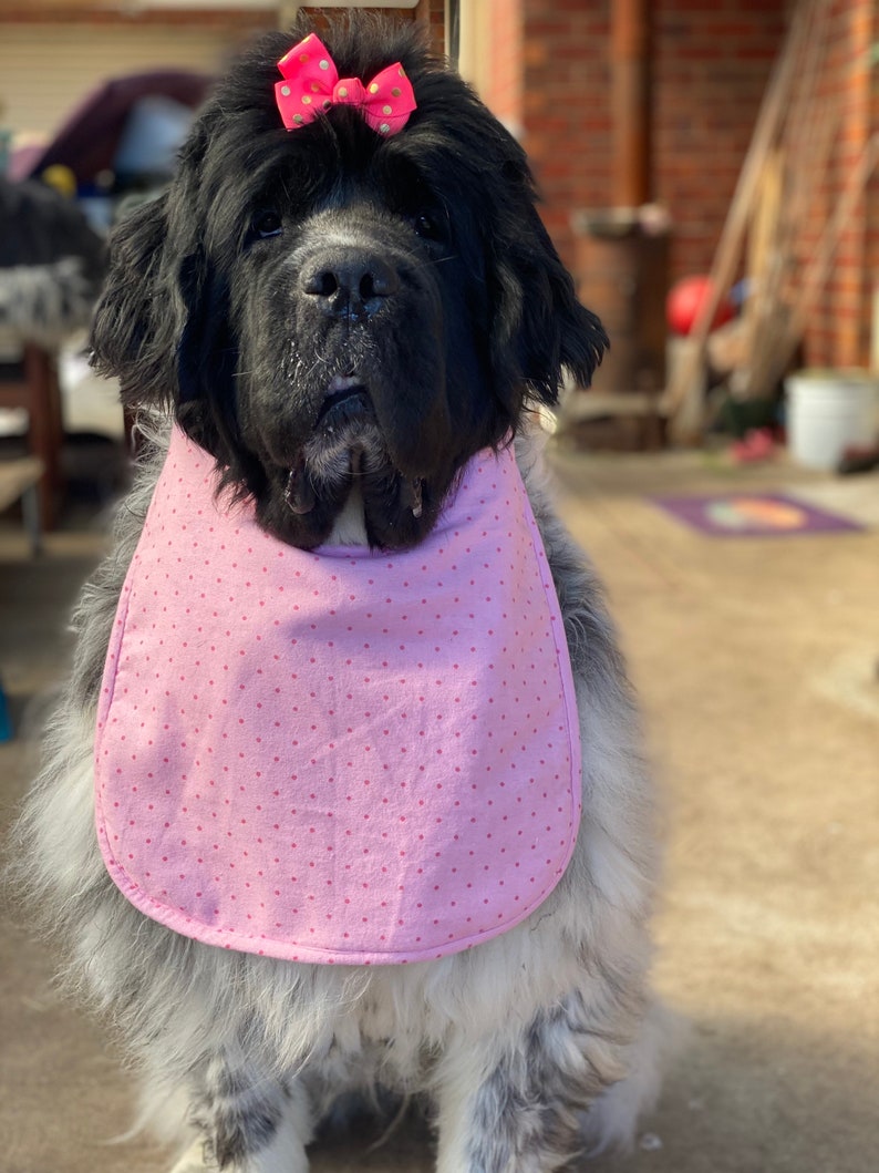 Pink polka dog drool bib slobber dog bib Giant big Dog drool Bib Reversible Newfoundland newfie Newfy bernese mountain dog Saint Bernard image 2