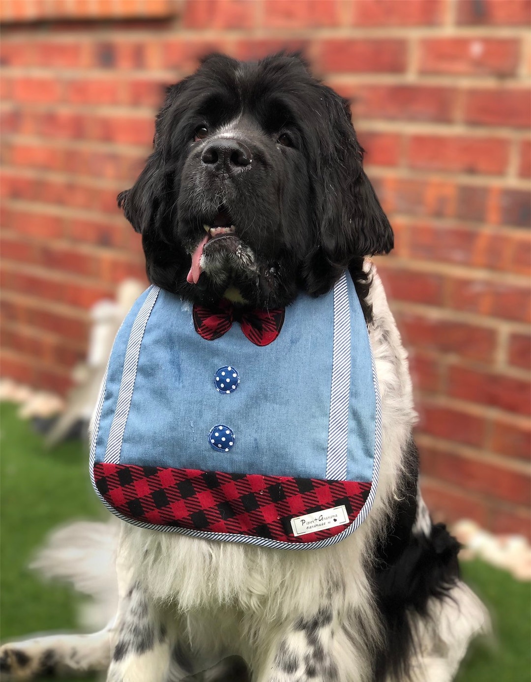 Giant Big Dog Drool Bib Special Occasion Dog Bib Newfoundland Newfie Slobber Bernese Mountain