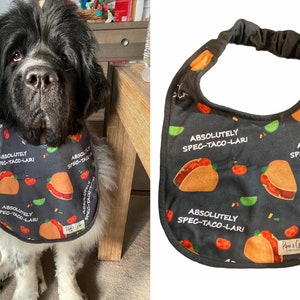 May include: A black and white dog wearing a black bandana with a repeating pattern of yellow tacos, green limes, red tomatoes, and the text "Absolutely Spec-Taco-Lari".