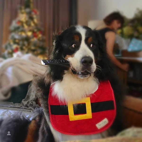 Christmas Santa bib Giant big Dog drool Bib dog bib Bernese mountain dog Christmas bib Saint Bernard Newfoundland newfie