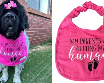 My parents are getting me a human dog drool bib pregnancy announcement baby announcement dog and baby newfie bernese mountain dog st bernard