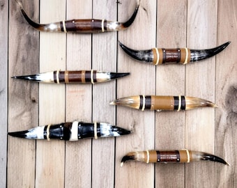 幅7フィートの磨かれた牛の角の雄牛の西洋装飾品 - Etsy 日本