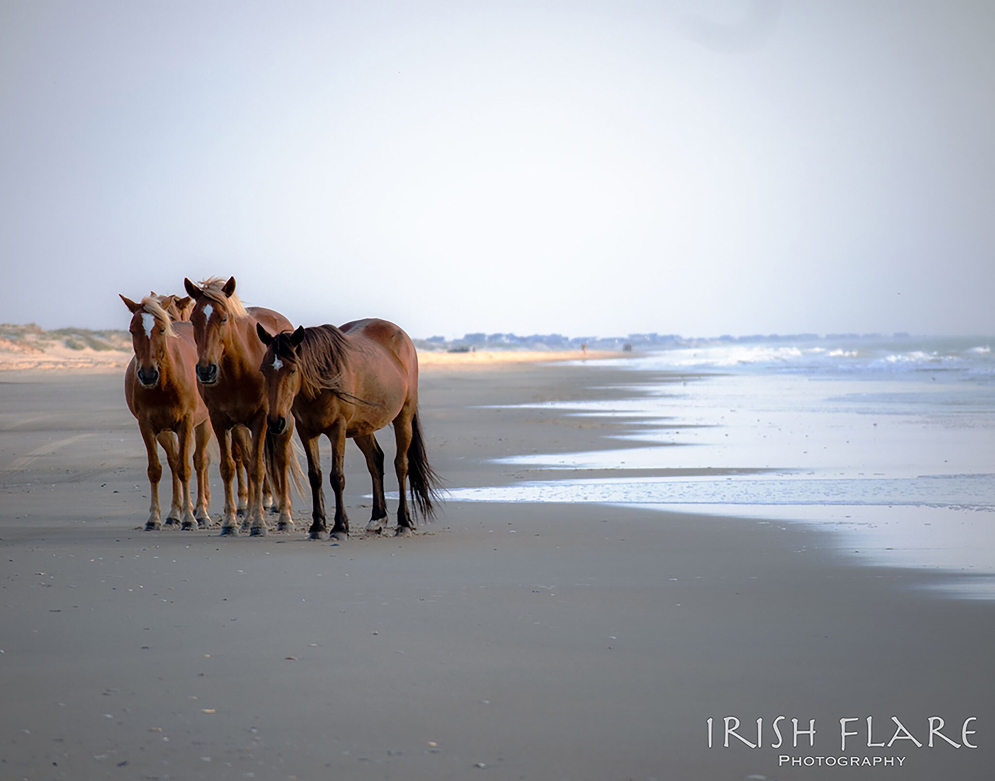 Corolla Atlantic Ocean Art Print for The Frame TV. Outer Banks OBX Wild Horse Samsung Frame TV Art North Carolina