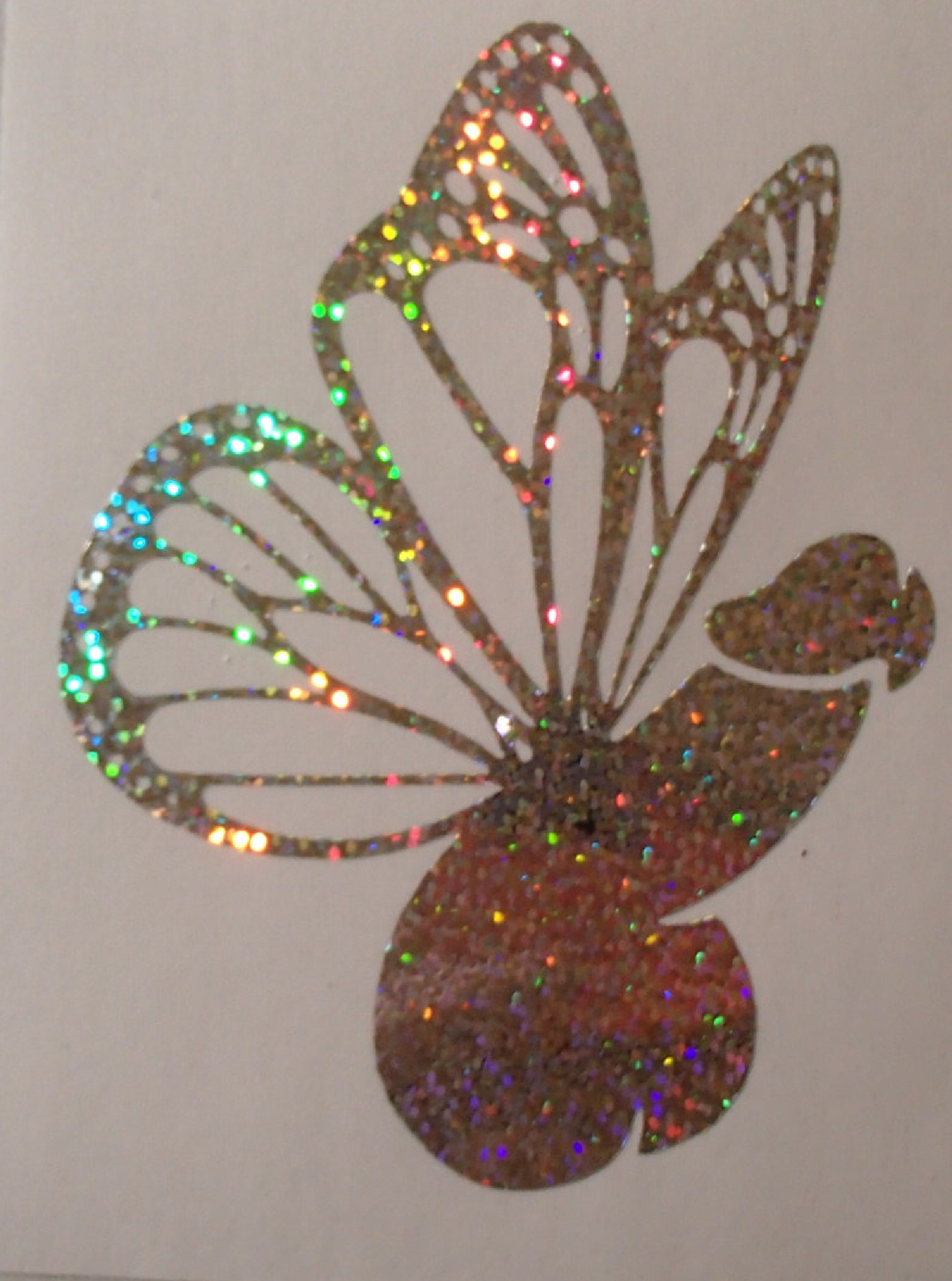 Butterfly Penis Funny Sexy Prank Cock Holographic You Choose - Etsy Canada Butterfly Penis Funny Sexy Prank Cock Holographic You Choose - Etsy Canada