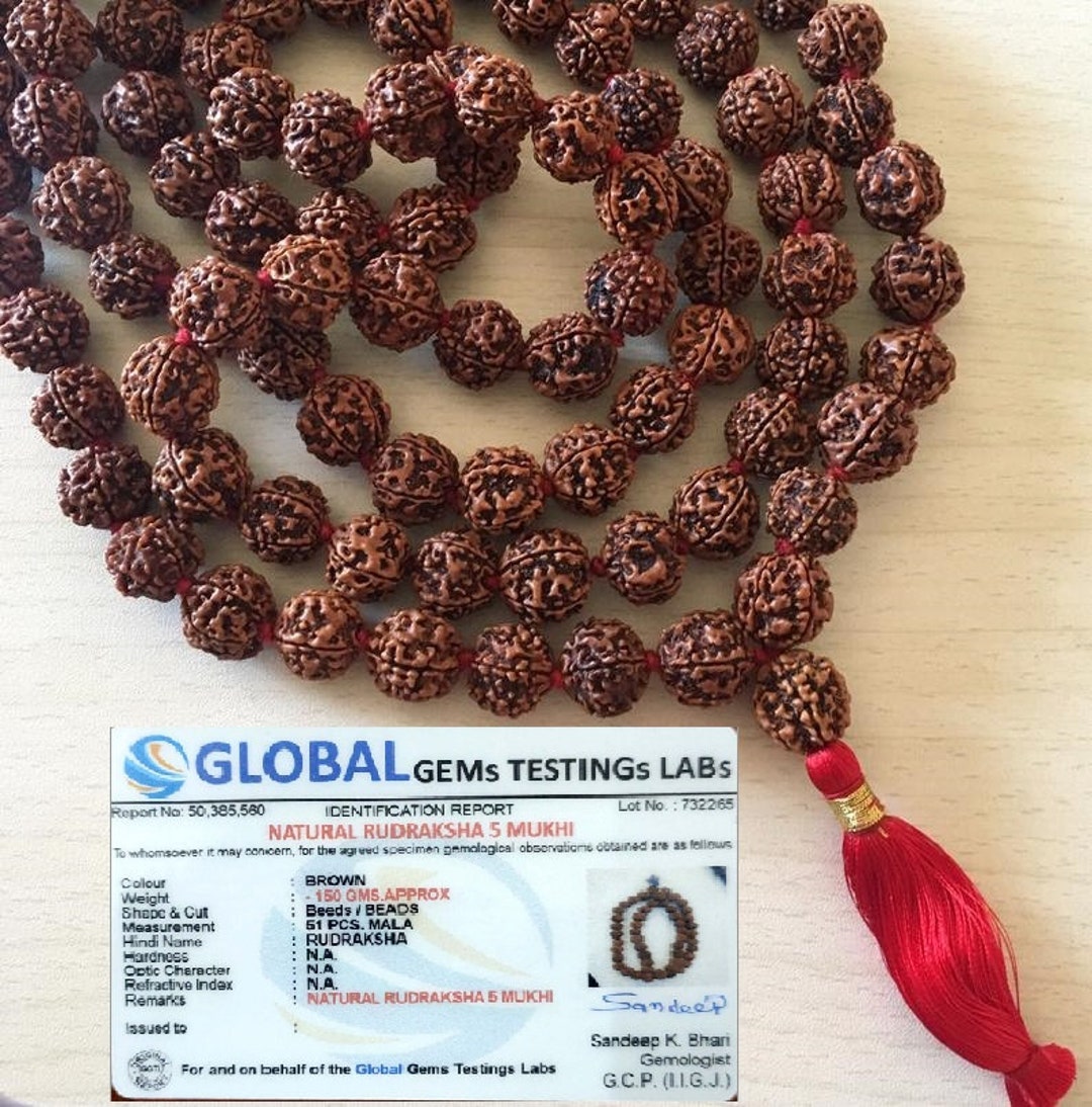 NKlaus 5 Face Real Rudraksha Japa Mala Catena 54+1 Perle per Meditazione Spirituale 15757, Legno