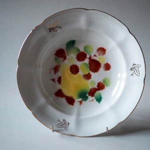 Set of 2 Ukranian Vintage Pasta Plates Soup Bowl Tableware Baranovka Porcelain FactoryUSSR Vintage items 1970s Faience plates Ceramic plates