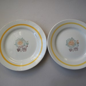 May include: Two white ceramic plates with a yellow rim and a floral design in shades of green, yellow, and brown.