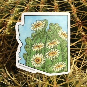 Arizona State Flower Vinyl Sticker