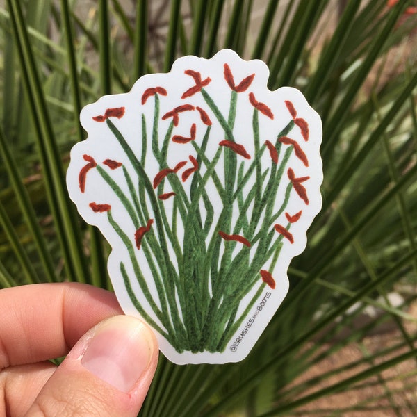 Ocotillo Vinyl Sticker