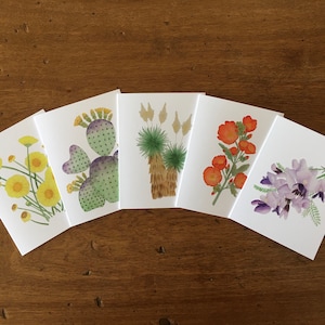 Desert Collection #2 - Jeu de 5 cartes de vœux vierges