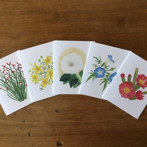 Desert Collection #3 - Ensemble de 5 cartes de vœux vierges