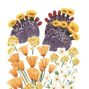 May include: Watercolor painting of a purple prickly pear cactus with yellow flowers and red buds. The cactus is surrounded by yellow and white flowers. The painting is signed "Sept 2016".