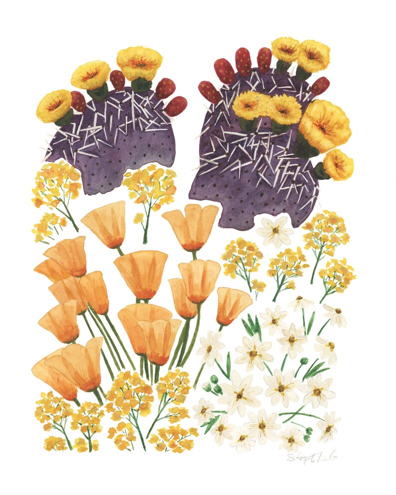 May include: Watercolor painting of a purple prickly pear cactus with yellow flowers and red buds. The cactus is surrounded by yellow and white flowers. The painting is signed "Sept 2016".