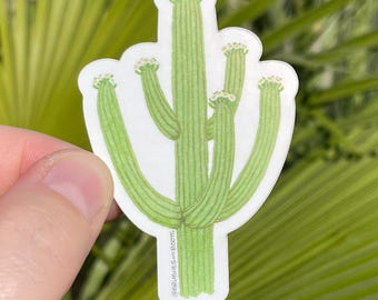 Blooming Saguaro Vinyl Sticker