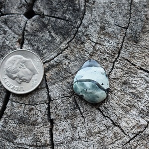 May include: A smooth, light blue and gray stone with black and white markings. The stone is about the size of a US dime.