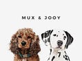 Personalized Two Pet Portraits, multiple Pet Portraits, Pet Portraits, Pet Memorial, Portraits From Photo, Personalized Gift