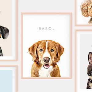 Pet Portraits, Pet Portraits from photo, Pet Painting, Digital Pet Painting from Photo, Pet memorial, digital Painting, Pet drawing