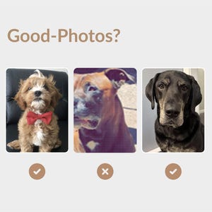 Perfect images guidlines