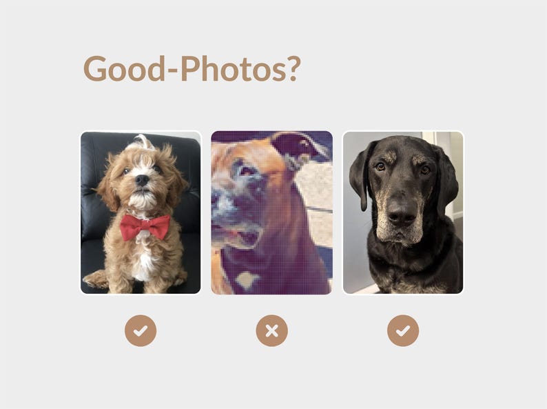 Perfect images guidlines